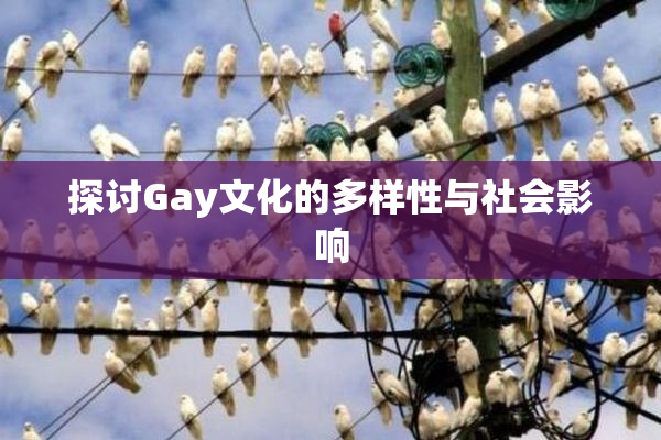 探讨Gay文化的多样性与社会影响