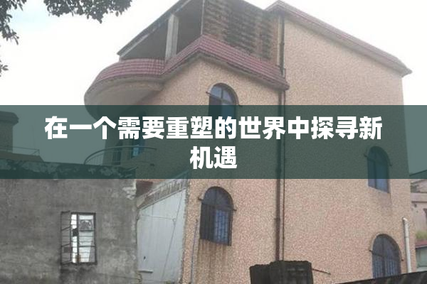 在一个需要重塑的世界中探寻新机遇