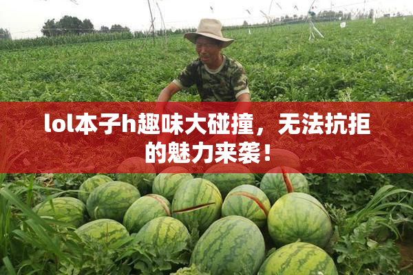 lol本子h趣味大碰撞，无法抗拒的魅力来袭！