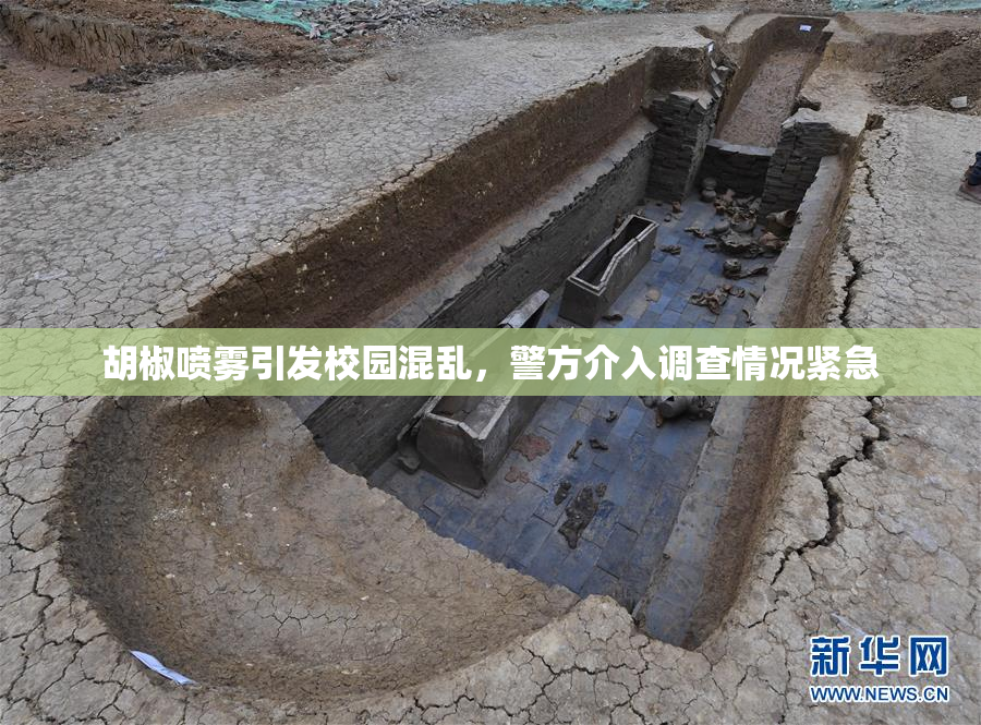 胡椒喷雾引发校园混乱，警方介入调查情况紧急