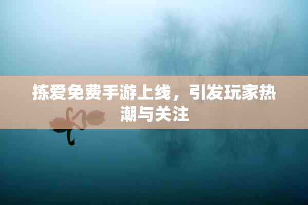 拣爱免费手游上线，引发玩家热潮与关注