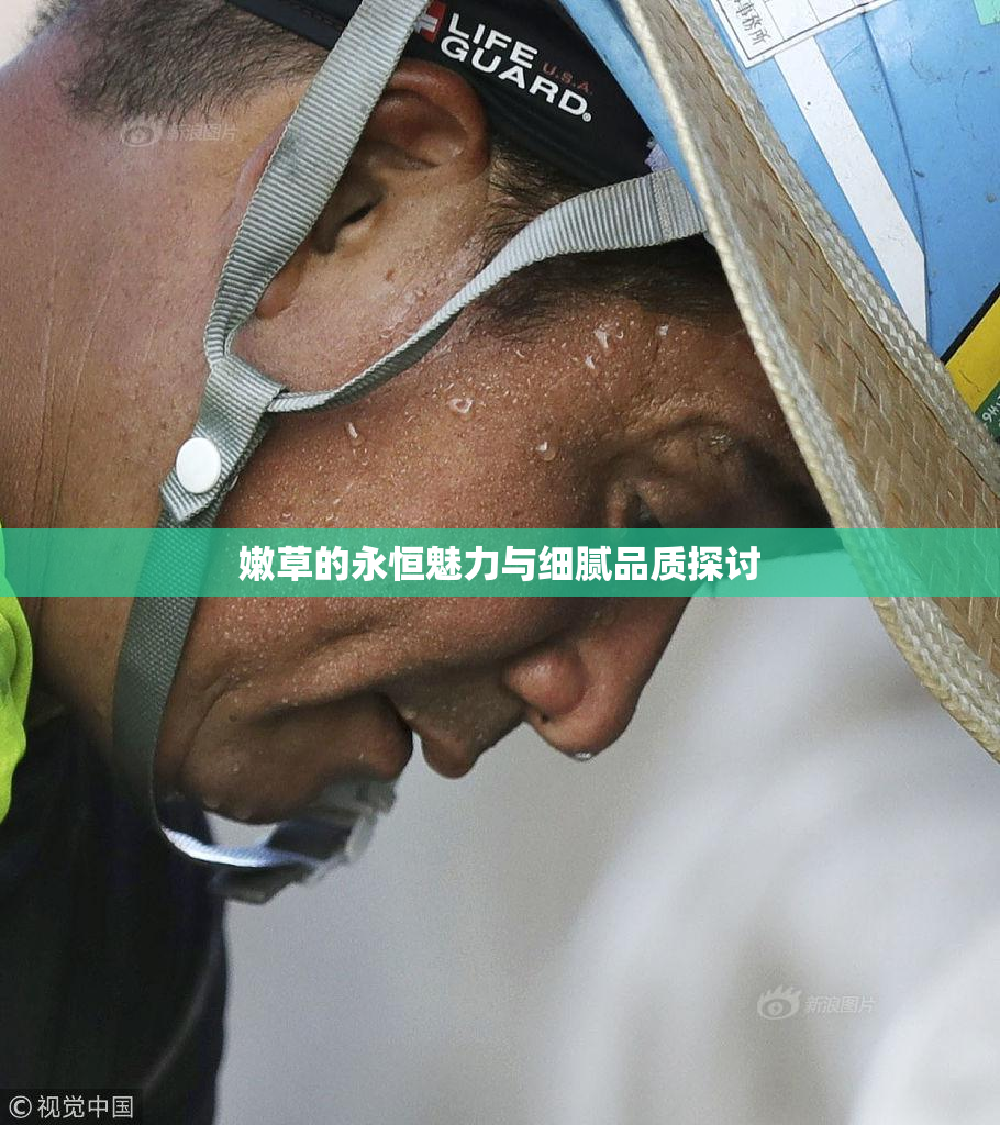 嫩草的永恒魅力与细腻品质探讨