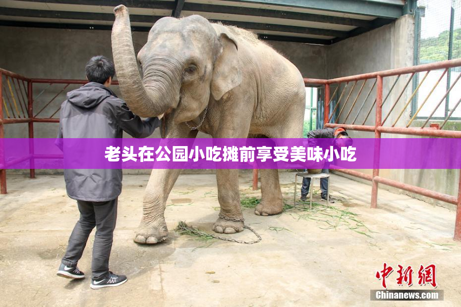 老头在公园小吃摊前享受美味小吃