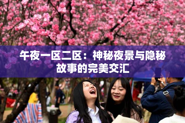 午夜一区二区：神秘夜景与隐秘故事的完美交汇