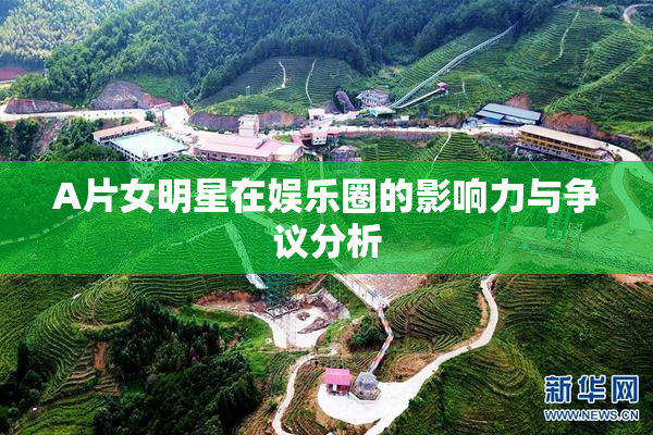 A片女明星在娱乐圈的影响力与争议分析