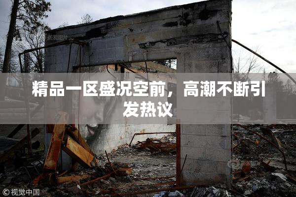 精品一区盛况空前，高潮不断引发热议