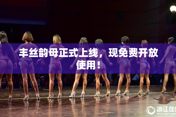 丰丝韵母正式上线，现免费开放使用！