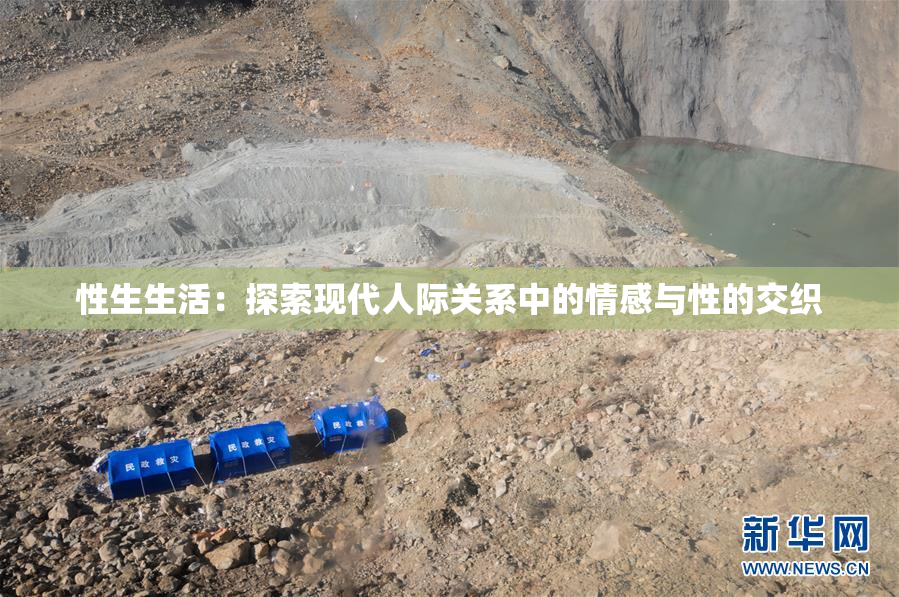 性生生活：探索现代人际关系中的情感与性的交织