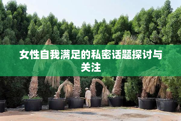 女性自我满足的私密话题探讨与关注