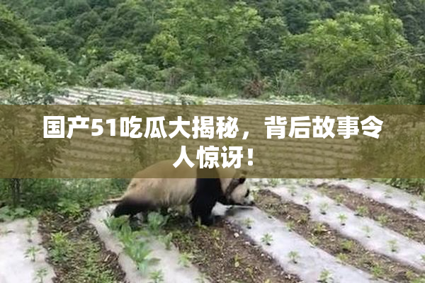 国产51吃瓜大揭秘，背后故事令人惊讶！