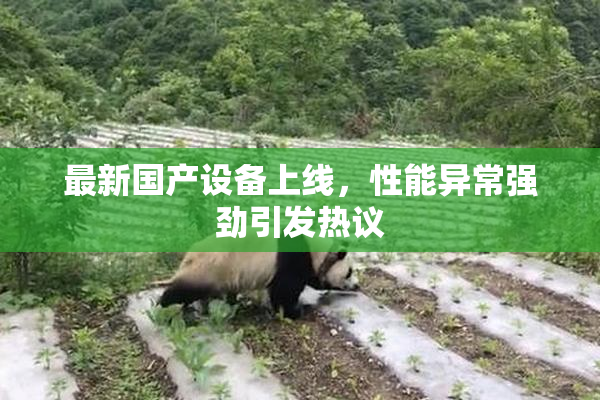 最新国产设备上线，性能异常强劲引发热议