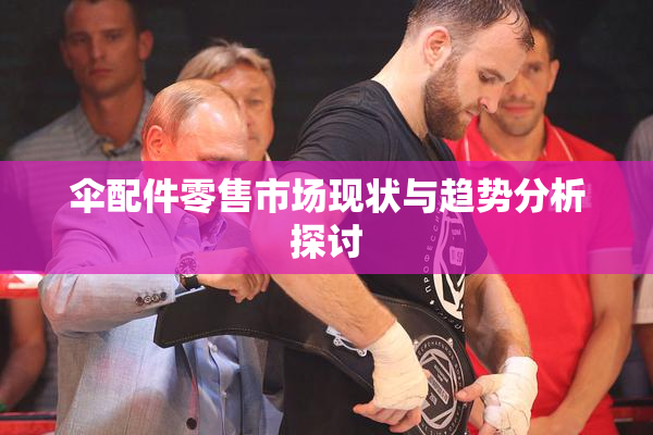 伞配件零售市场现状与趋势分析探讨