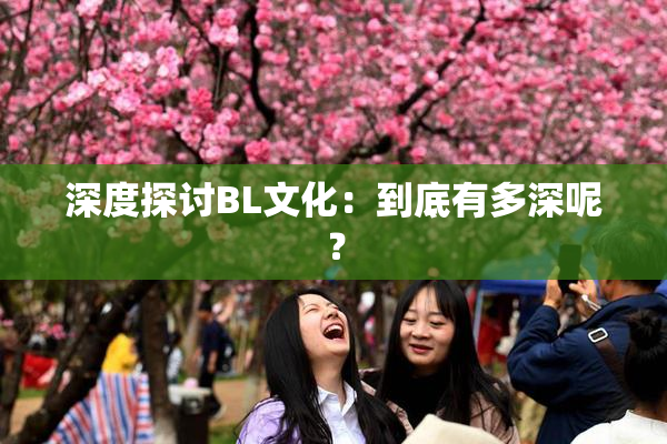 深度探讨BL文化：到底有多深呢？