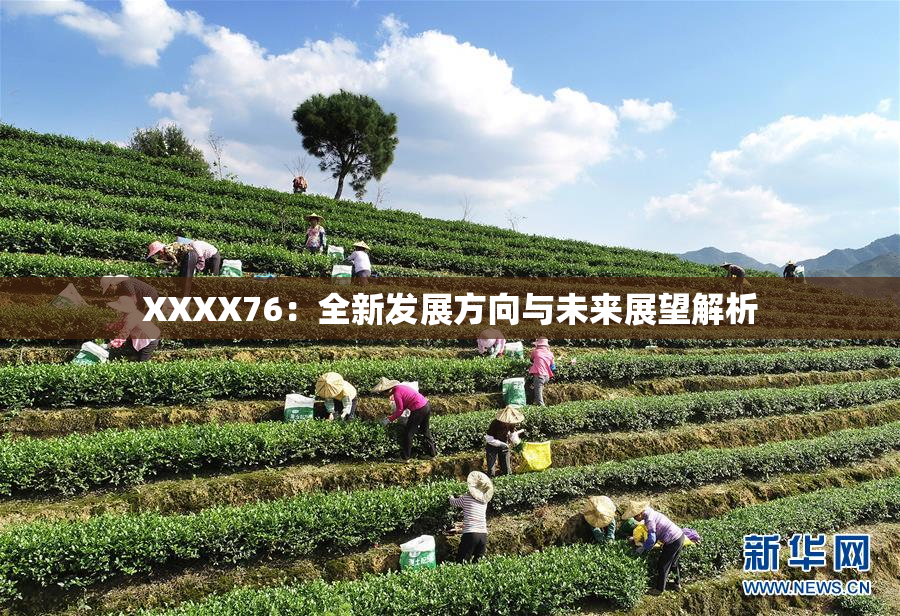 XXXX76：全新发展方向与未来展望解析