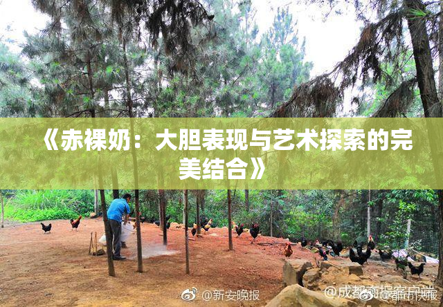 《赤裸奶：大胆表现与艺术探索的完美结合》
