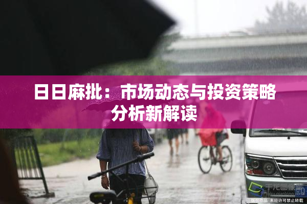 日日麻批：市场动态与投资策略分析新解读