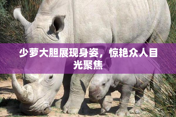 少萝大胆展现身姿，惊艳众人目光聚焦
