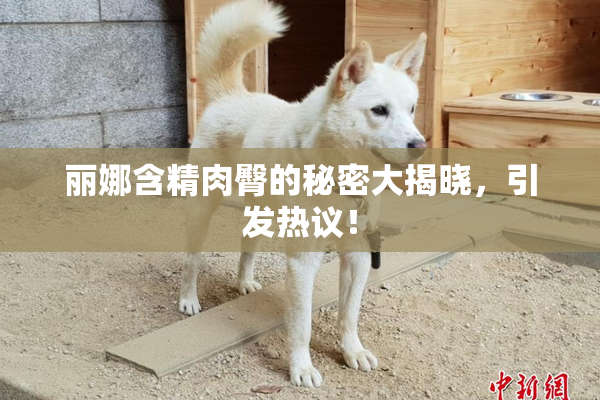 丽娜含精肉臀的秘密大揭晓，引发热议！