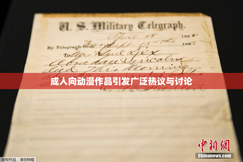 成人向动漫作品引发广泛热议与讨论
