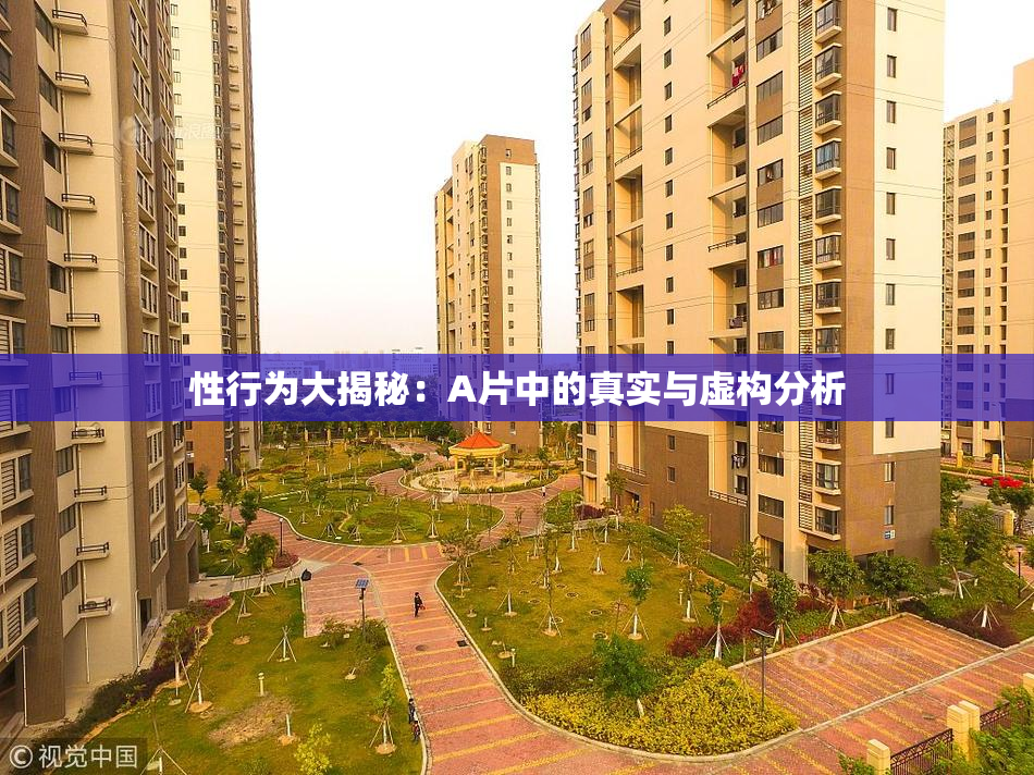 性行为大揭秘：A片中的真实与虚构分析