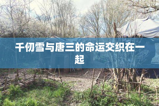千仞雪与唐三的命运交织在一起