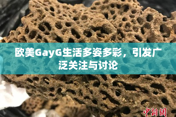 欧美GayG生活多姿多彩，引发广泛关注与讨论