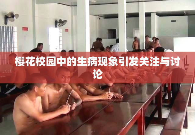 樱花校园中的生病现象引发关注与讨论