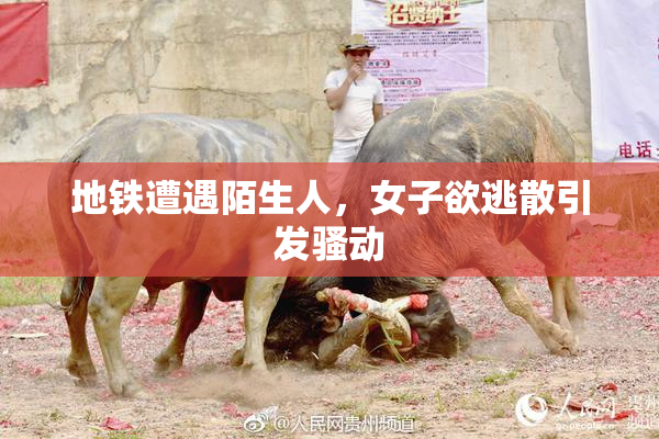 地铁遭遇陌生人，女子欲逃散引发骚动