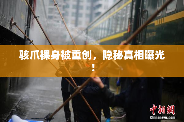 骇爪裸身被重创，隐秘真相曝光！