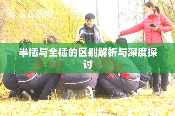 半插与全插的区别解析与深度探讨