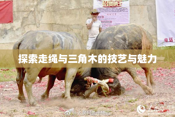 探索走绳与三角木的技艺与魅力