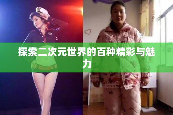 探索二次元世界的百种精彩与魅力