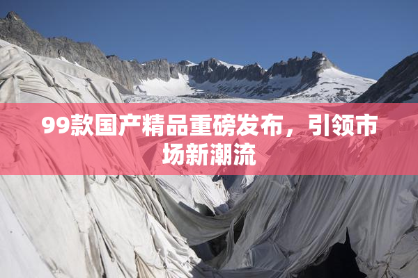 99款国产精品重磅发布，引领市场新潮流