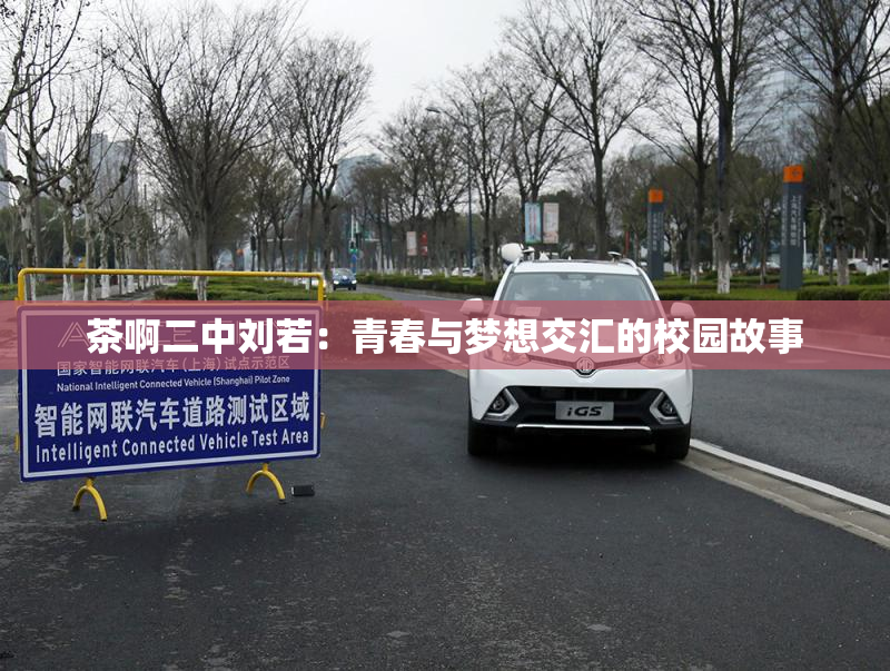 茶啊二中刘若：青春与梦想交汇的校园故事