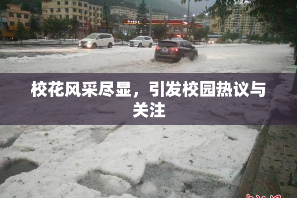 校花风采尽显，引发校园热议与关注