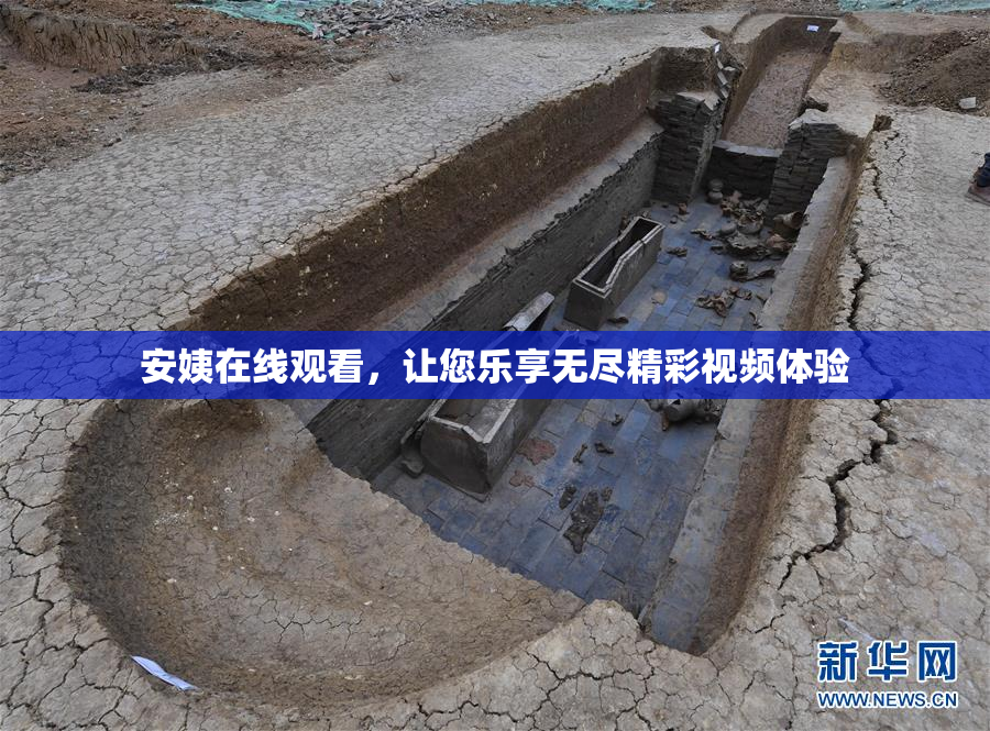 安姨在线观看，让您乐享无尽精彩视频体验