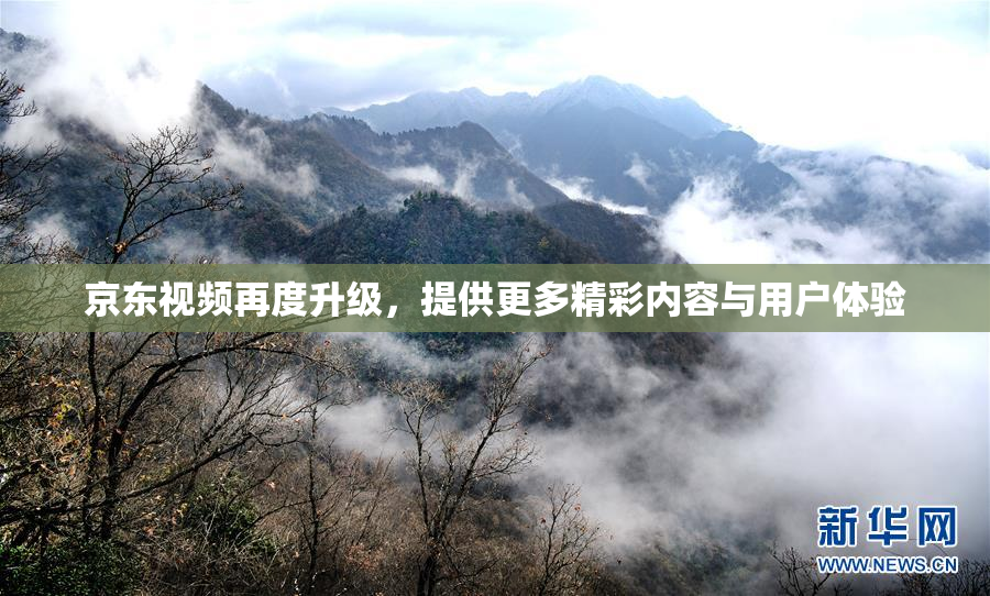 京东视频再度升级，提供更多精彩内容与用户体验