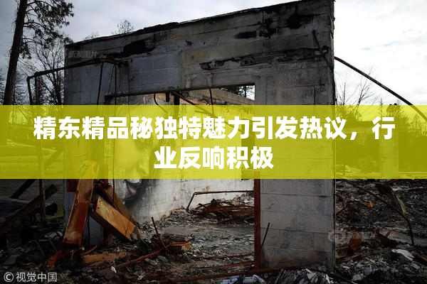 精东精品秘独特魅力引发热议，行业反响积极