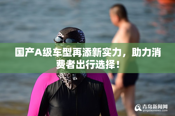 国产A级车型再添新实力，助力消费者出行选择！