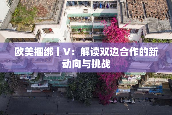 欧美捆绑丨V：解读双边合作的新动向与挑战