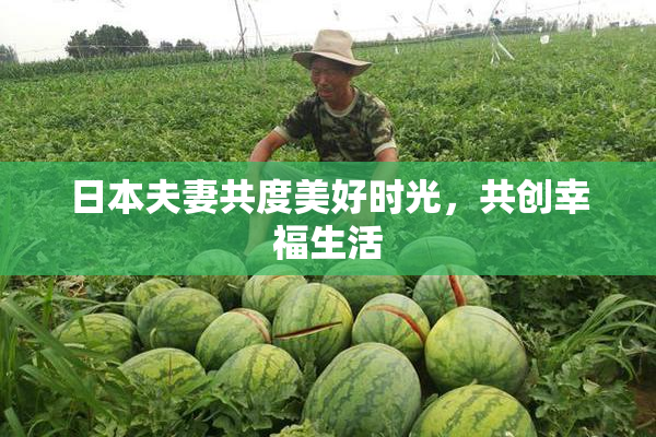 日本夫妻共度美好时光，共创幸福生活