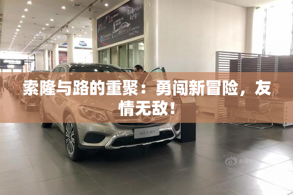 索隆与路的重聚：勇闯新冒险，友情无敌！