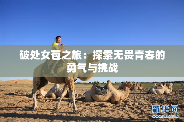破处女苞之旅：探索无畏青春的勇气与挑战