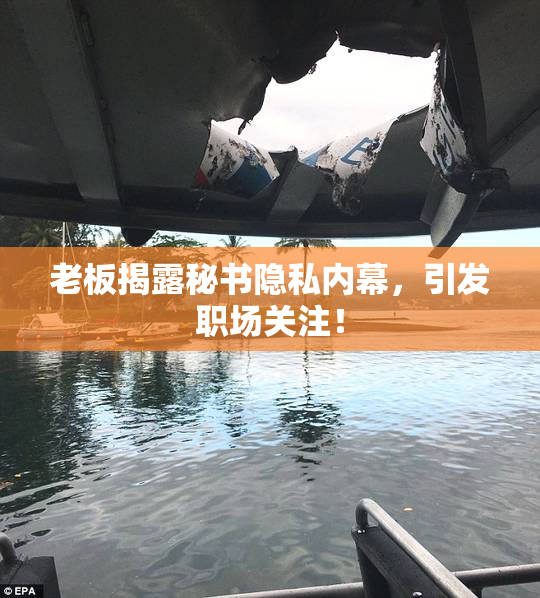 老板揭露秘书隐私内幕，引发职场关注！