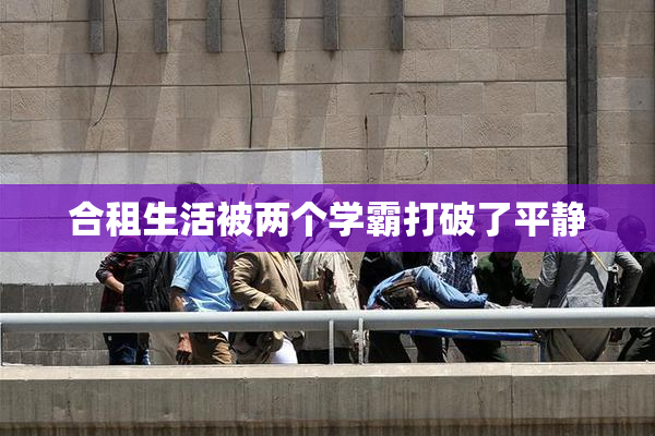 合租生活被两个学霸打破了平静