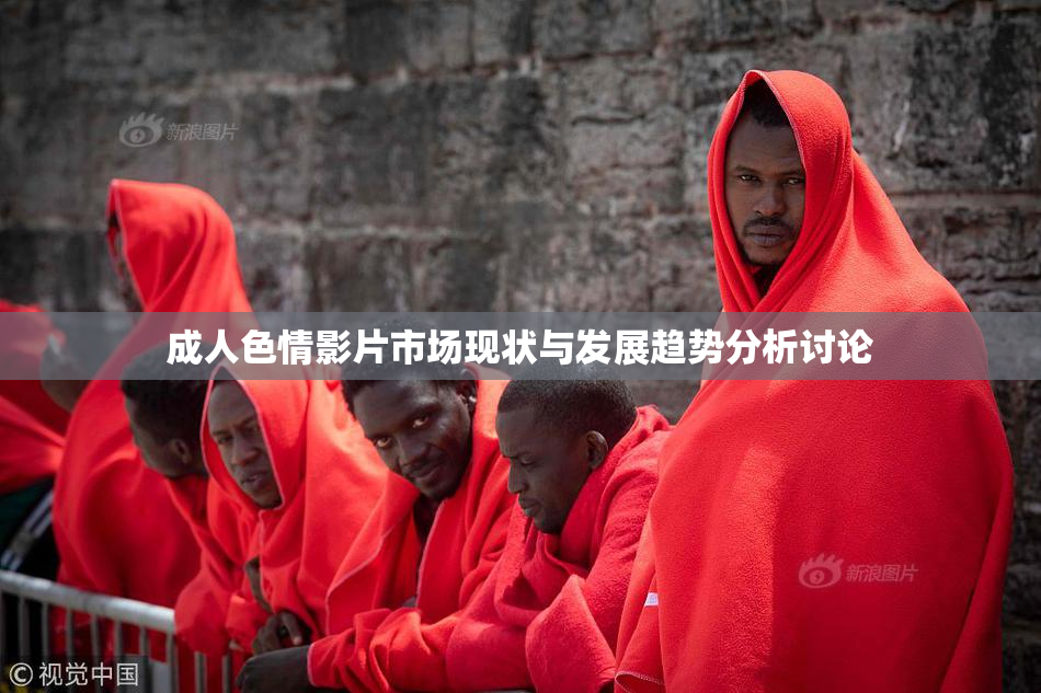 成人色情影片市场现状与发展趋势分析讨论