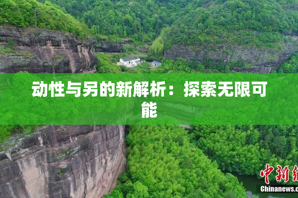 动性与另的新解析：探索无限可能