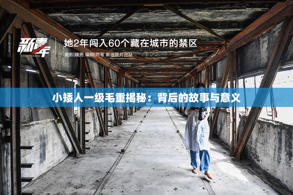 小矮人一级毛重揭秘：背后的故事与意义
