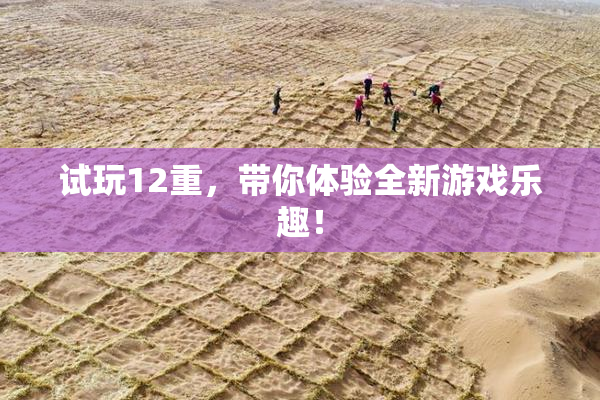 试玩12重，带你体验全新游戏乐趣！