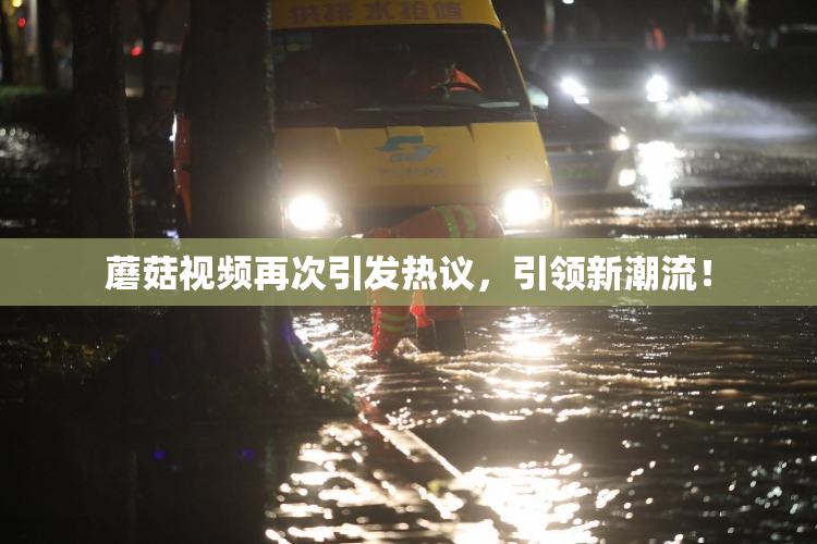 蘑菇视频再次引发热议，引领新潮流！